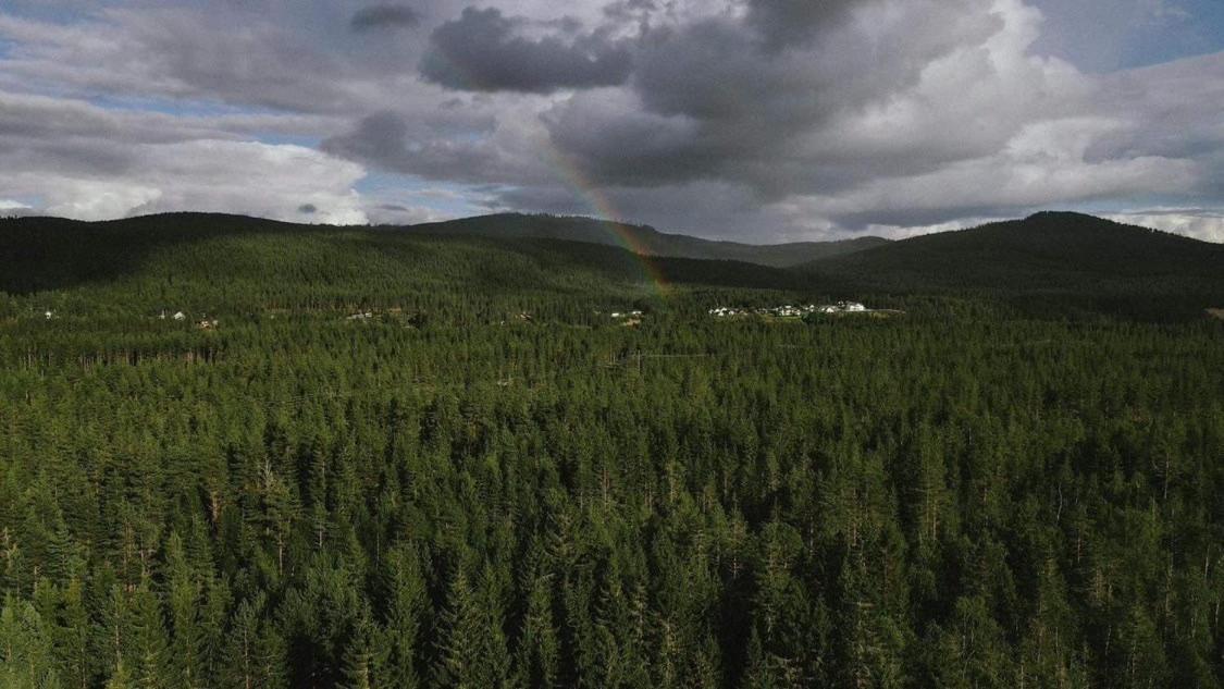 Landgard * Trysil