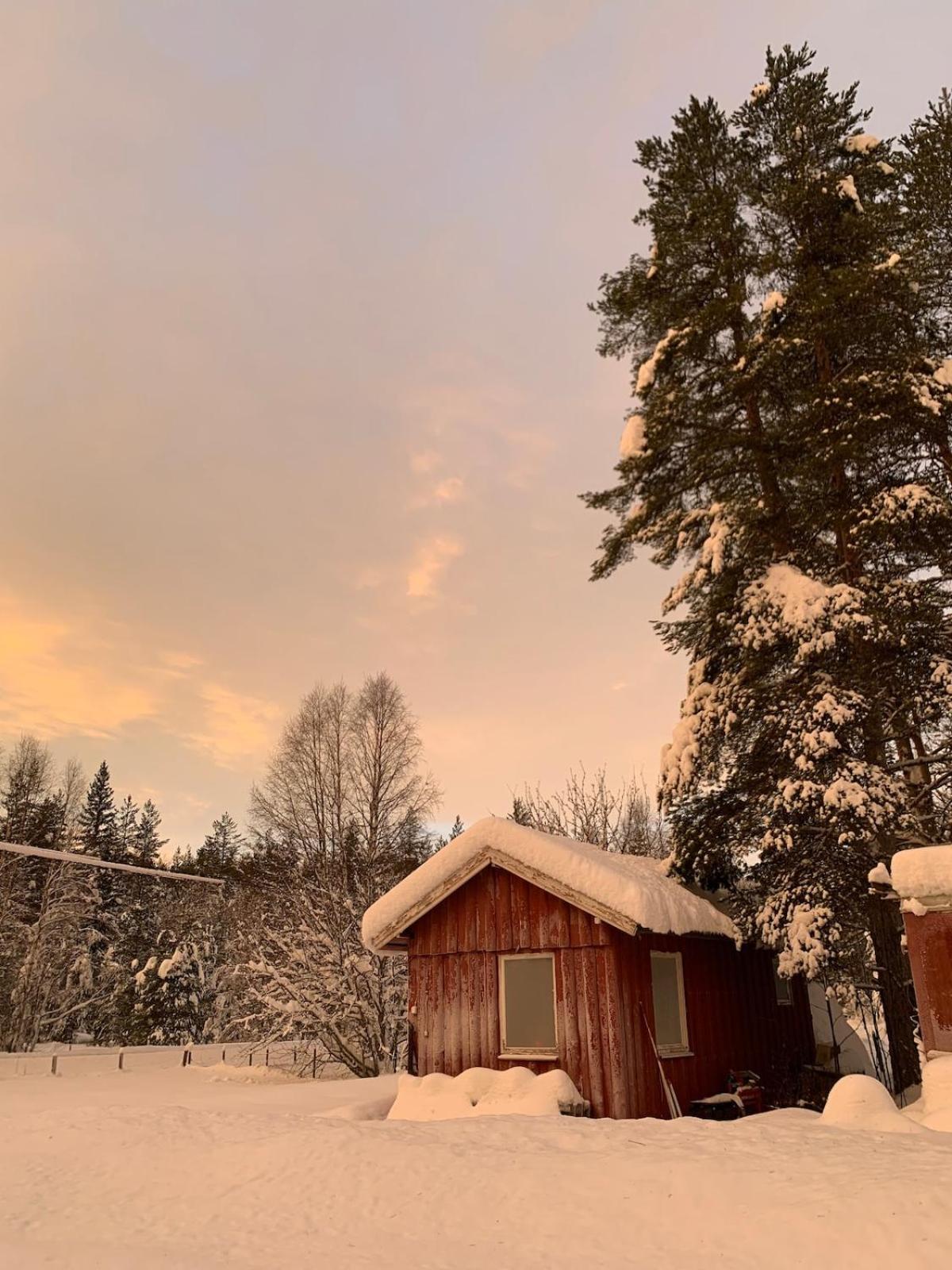 Landgard Séjour chez l'habitant Trysil